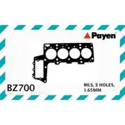 Payen Head Gasket - BZ700