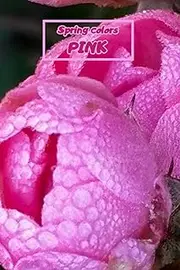 [Adria Shine] Spring Colors – Pink Notebook: Special Notice Book To Memorize, Draw, Write, Sketch, Paint And Freeze In Pictures All Beautiful Moments Of Spring In Pink