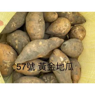 雲林水林 台農 57號  黃金地瓜 黃地瓜 地瓜 蕃薯4斤 8斤