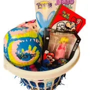 Super Mario bundle twin 60 by 90 soft Princess Peach throw and Action figure
