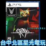 【PS5原版片】 浪貓 STRAY 【附美術圖卡】中文版全新品【台中星光電玩】