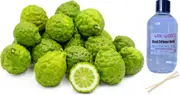 Kaffir Lime & Sandalwood - Reed Diffuser Refill