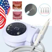 Dental Ultrasonic Piezo Scaler with Handpiece 5*Tips fit DTE SATELEC