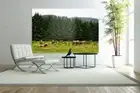 roosevelt-elk-herd-animals-wildlif high quality wall Canvas wall art home decor