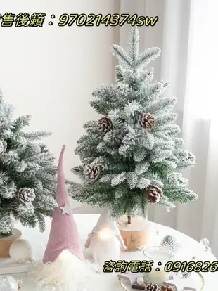 韓國60cm聖誕樹雪樹小聖誕樹桌面擺件積雪植絨pe混合聖誕樹