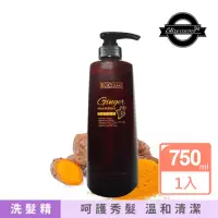 在飛比找momo購物網優惠-【Elizecosmo】薑黃洗髮精 750ml(一秒重現柔亮