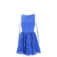在飛比找Yahoo奇摩購物中心優惠-Alice + Olivia 藍色織花蕾絲無袖洋裝