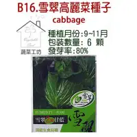 在飛比找momo購物網優惠-【蔬菜工坊】B16.雪翠高麗菜種子