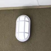 Outdoor LED Bulkhead Light Oval 20w in Black/White