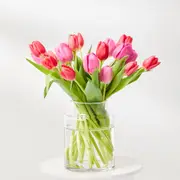 Mixed Tulips