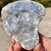 491G Natural Blue Celestite Geode QuartzCrystal Mineral Specimen Healing