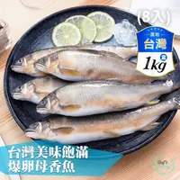 在飛比找生活市集優惠-【主廚市集】台灣爆卵母香魚(8尾裝)