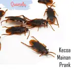 家庭玩具 SERU PRANK COCKROACHES 假橡膠昆蟲有趣和獨特的逼真