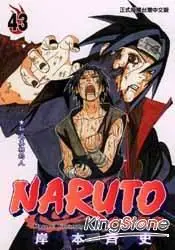 在飛比找樂天市場購物網優惠-火影忍者NARUTO43