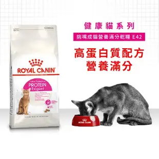 【ROYAL 法國皇家】挑嘴成貓營養滿分配方 E42 2KG(貓乾糧 貓飼料)