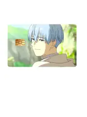 Himmel the Hero V4 Credit Card Sticker – Frieren Anime Collectible