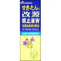 在飛比找DOKODEMO日本網路購物商城優惠-[DOKODEMO] 改源止咳糖漿W 100ml