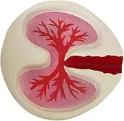 Aswalling Lung Shape Ashtray Tray Red Funny Ashtray Desktop Home Decoration Handmake Ornaments Decor Birthday for Boyfriend Easy to Use 10x10x2.4CM