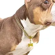 SUNEW Walking Metal Chain Collar with Dog Tag Design Secure Buckle Cuban Link Chain Collar Heavy Duty Chew Proof for Dogs