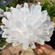 Natural Rare White Transparent Quartz Crystal Mineral Cluster ​Specimen Home Off