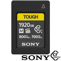 在飛比找momo購物網優惠-【SONY 索尼】CEA-M1920T 1920G/GB 8