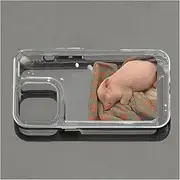 ThomeT Phone Case for iPhone 15 15 Pro 15 Pro Max 15 Plus Funny Novelty Piglet Pattern Sleeping Pig Case Clear Soft TPU Silicone Rubber Bumper Hard Acrylic Case,Clear,13
