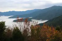 在飛比找雄獅旅遊優惠-新竹旅遊【天天出發.一人成行】雪霸休閒農場.雲端上的觀霧.雲