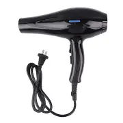 Negative Ionic Hair Dryer Quick Drying Low Noise Hair Blow Dryer For Home Us CHW