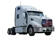 Peterbilt 387 Premium Mesh 'Smoky Flag' Bug Screen