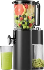Cold Press Juicer, 6.1" Wide Feed Chute Juicers with 350W Power Motor, Slow Mast