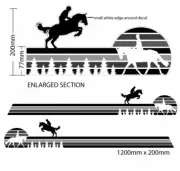 1.2m Automotive vehicle stripe decal RV Motorhome Campervan Horse Trailer Boat