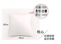在飛比找Yahoo!奇摩拍賣優惠-枕心 抱枕 靠枕 小方枕 台灣製 抱枕心 ( 48X48枕心