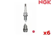 NGK Spark Plug Nickel Projected FOR Honda Accord 00-2003 2.3 (CK2) ZFR6F-11 x6
