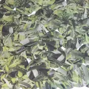Sequin Round 30mm Lime Green Silver Bird Feathers Print Metallic