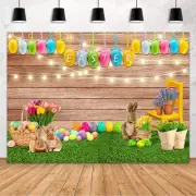 Spring Easter Backdrop for Photography Easter Eggs Bunny Green Grass 8x6ft