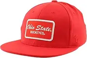 Zephyr Standard NCAA Officially Licensed Fitted Hat M15Z Brick Team Color