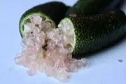 Buy Fingerlime Green Beauty Bushfood Microcitrus australasica