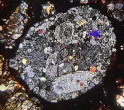 Meteorite NWA 16457 - LL3 Chondrite Chondrules WONDER ! Thin Section