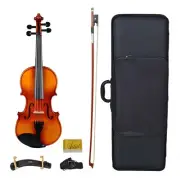 Artist SVN12 Solid Wood Student Violin Package 1/2 Size Bow Chin Shoulder Rest