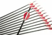 12 X 32" CARBON ARROWS 2" Fletcher COMPOUND OR RECURVE BOW TARGET