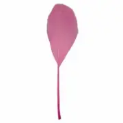Stripped Goose Nagoire Feathers 10 grams - Hot Pink