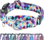 Fidohug Reflective Martingale Collar for Dogs with Quick Release Buckle No Pull Training Dog Collars (Colorful Geometric, Medium)