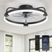 Ceiling Fans with Lights and Remote, 20'' Low Profile Ceiling Fan with Light, 30