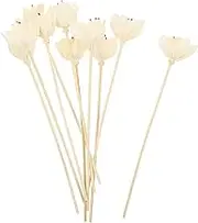 10Pcs Fragrance Diffuser Sticks Artistic Aroma Accessory for Home Office Decor Essential Oil Sticks for Quick Fragrance Emission Safe Design