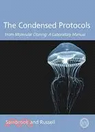 在飛比找三民網路書店優惠-The Condensed Protocols from M