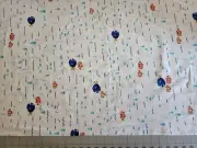 Disney Finding Dory Fabric