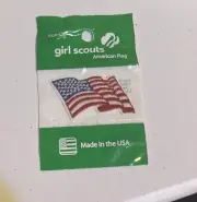 Lot of 4 Girl Scout Uniform Starter Patches Flag-Insignia-Membership-World