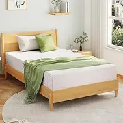 [EGOHOME] 10 Inch Queen Mattress, Memory Foam Mattress in a Box with Cooling Green Tea Gel, Relieve Pressure with Medium Support, CertiPUR-US Certified, 80''L x 60''W, White