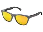 Oakley Frogskins Toxic Blast Polarized Sunglasses OO9013-31 Grey/Fire Iridium