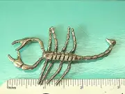 SCORPION - figurine , mini statue GIFT BOXED
